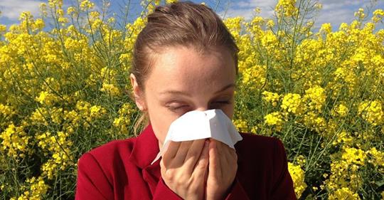 Essere allergici in Liguria